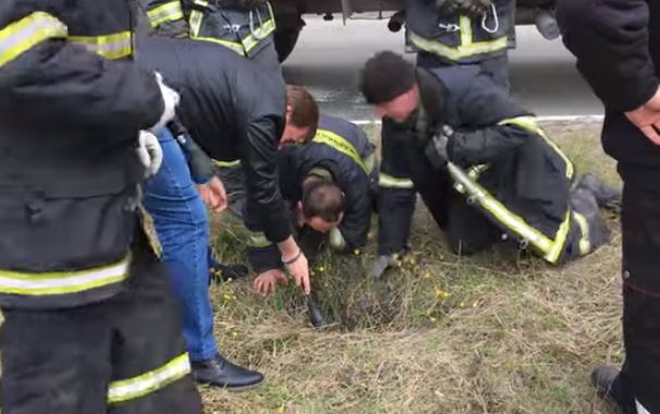 Ces pompiers sauvent un chiot coincé dans une bouche d'égout