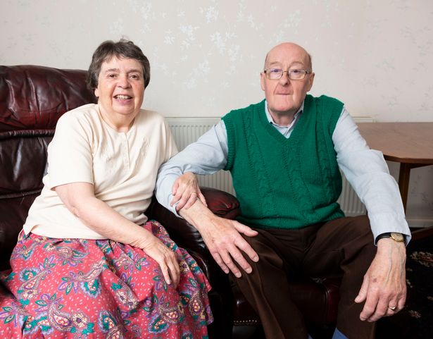 Un couple de retraités pris en otage pendant 6 jours… par des mouettes