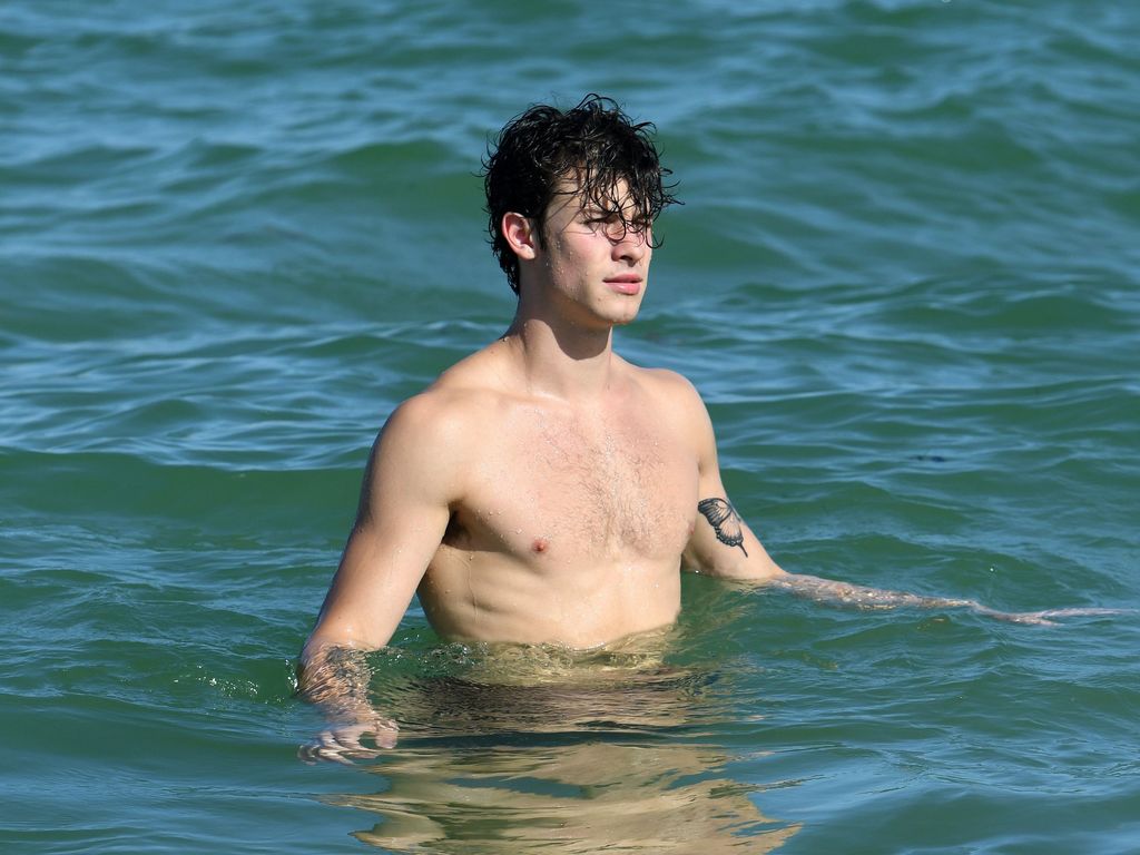 Quand Shawn Mendes et Camila Cabello s'échangent des baisers ultra caliente