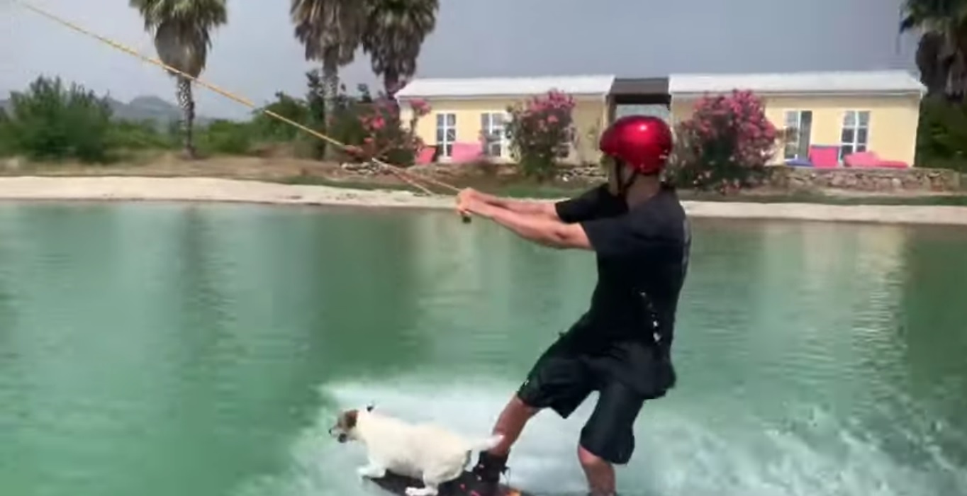 Impressionnant ! Il pratique du wakeboard... avec son chien !