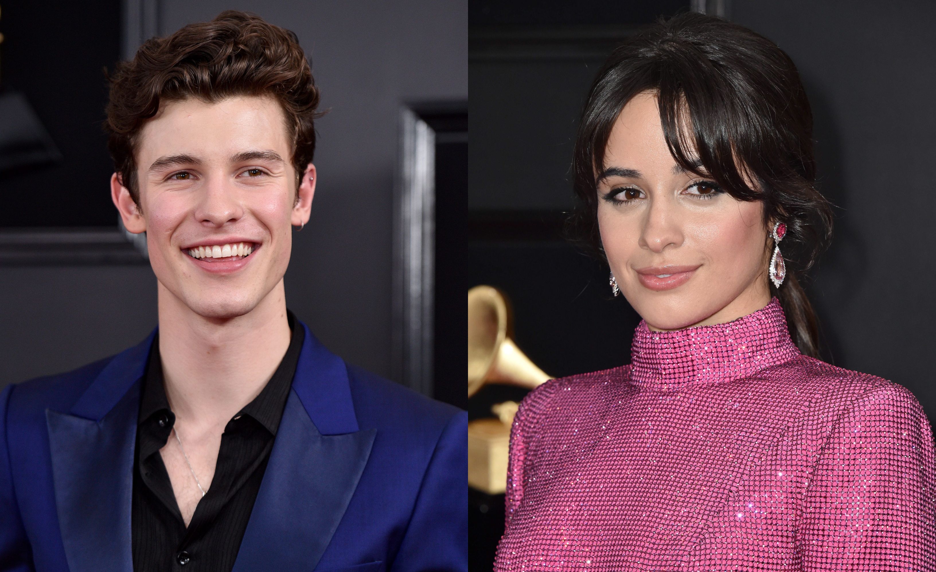 Shawn Mendes et Camila Cabello en couple ? Des photos sèment le doute