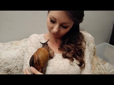 Cette femme a un animal domestique... pas vraiment comme les autres !