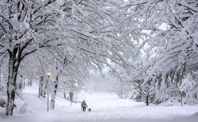 À 7 ans, un petit garçon est « allergique à l’hiver »