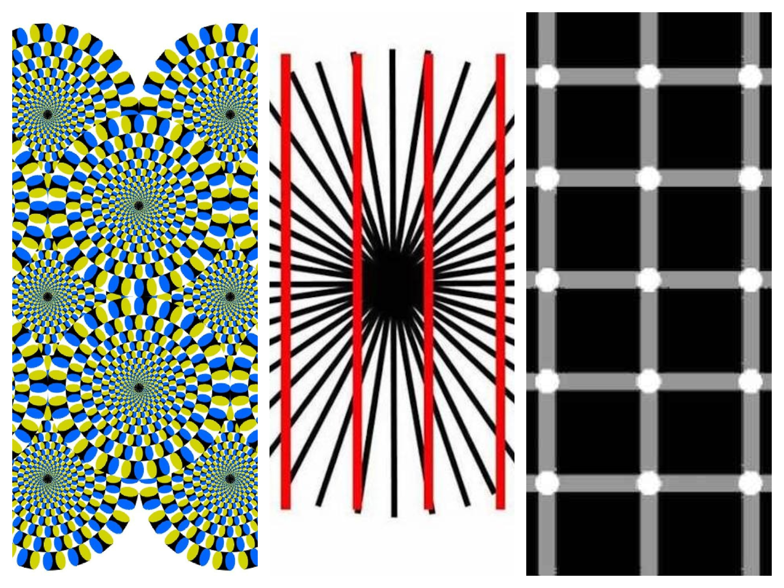 Top 5 des illusions d'optique les plus folles !