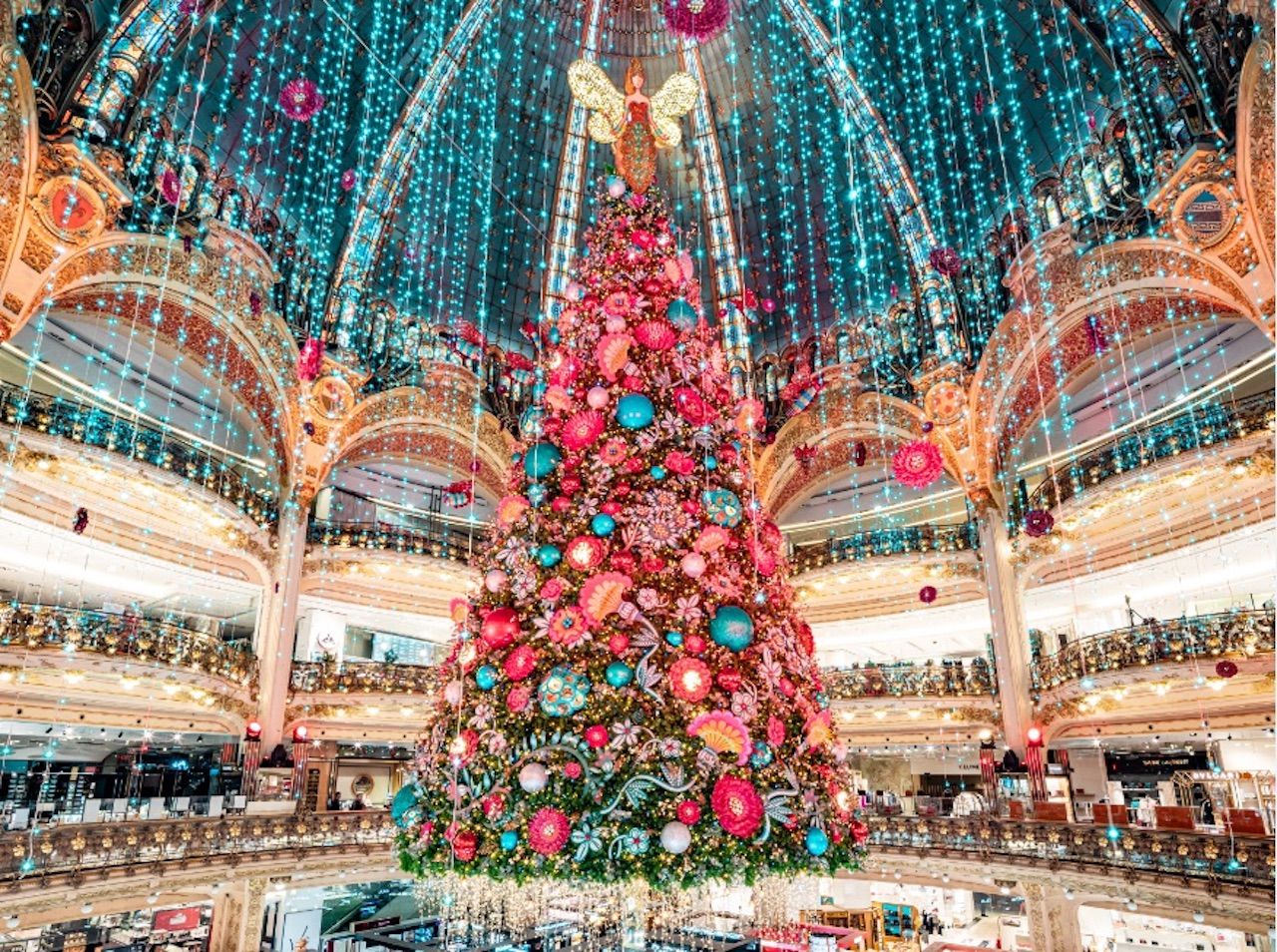 Les plus beaux sapins de Noël à travers le monde