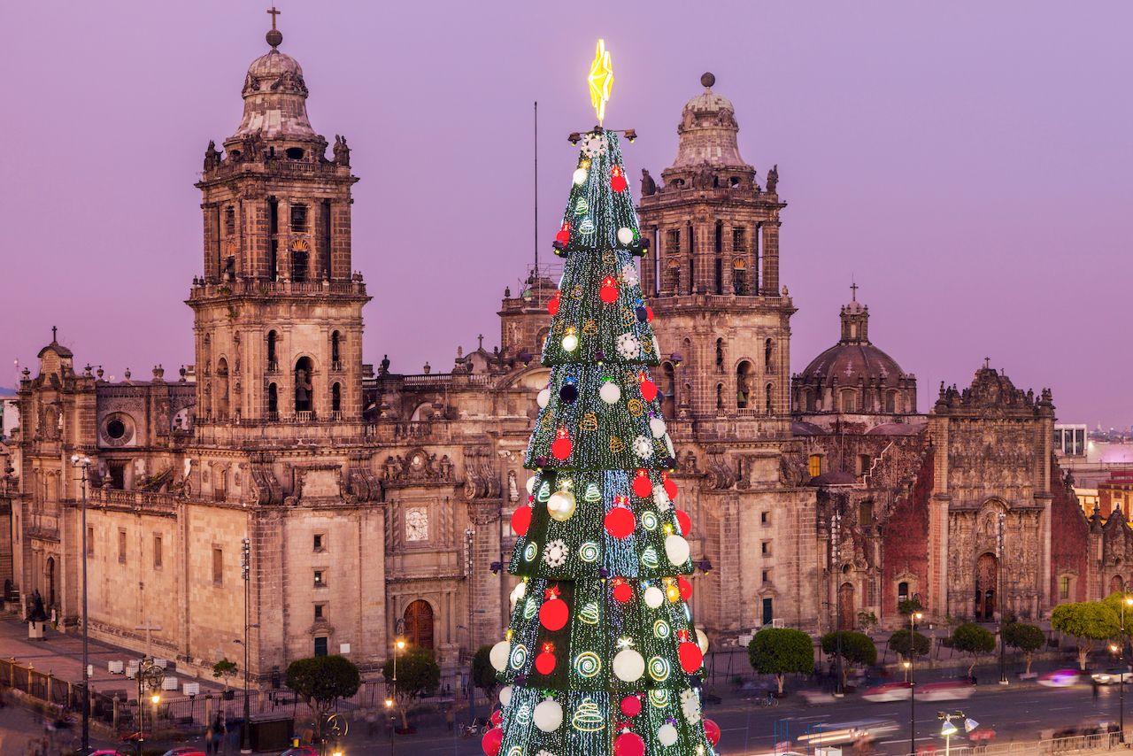 Les plus beaux sapins de Noël à travers le monde