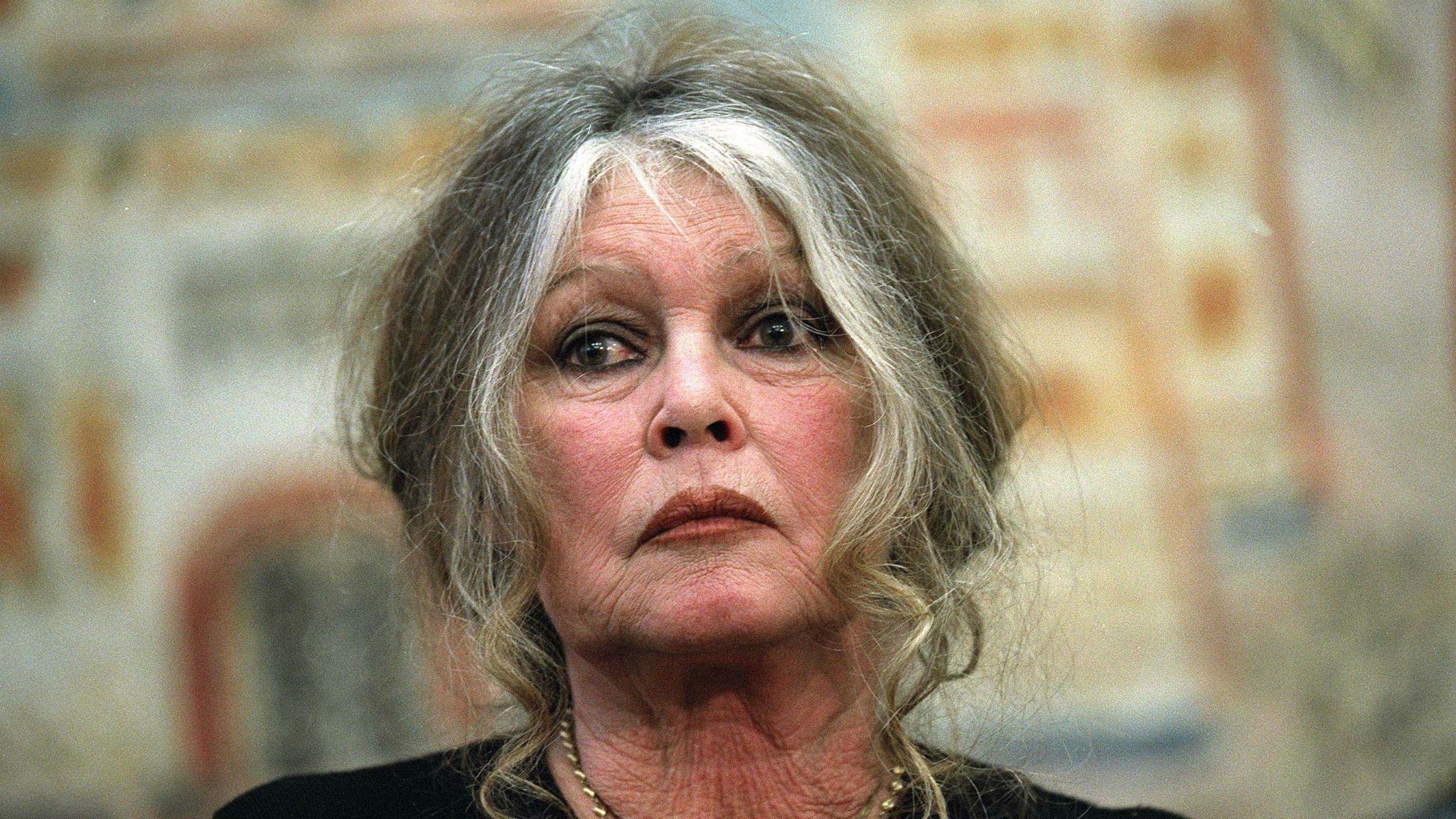 [Mise à jour] Brigitte Bardot : Pourquoi les très gros honoraires de son avocat font polémique