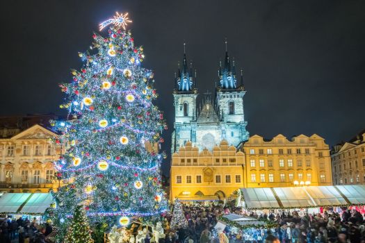 Les plus beaux sapins de Noël à travers le monde