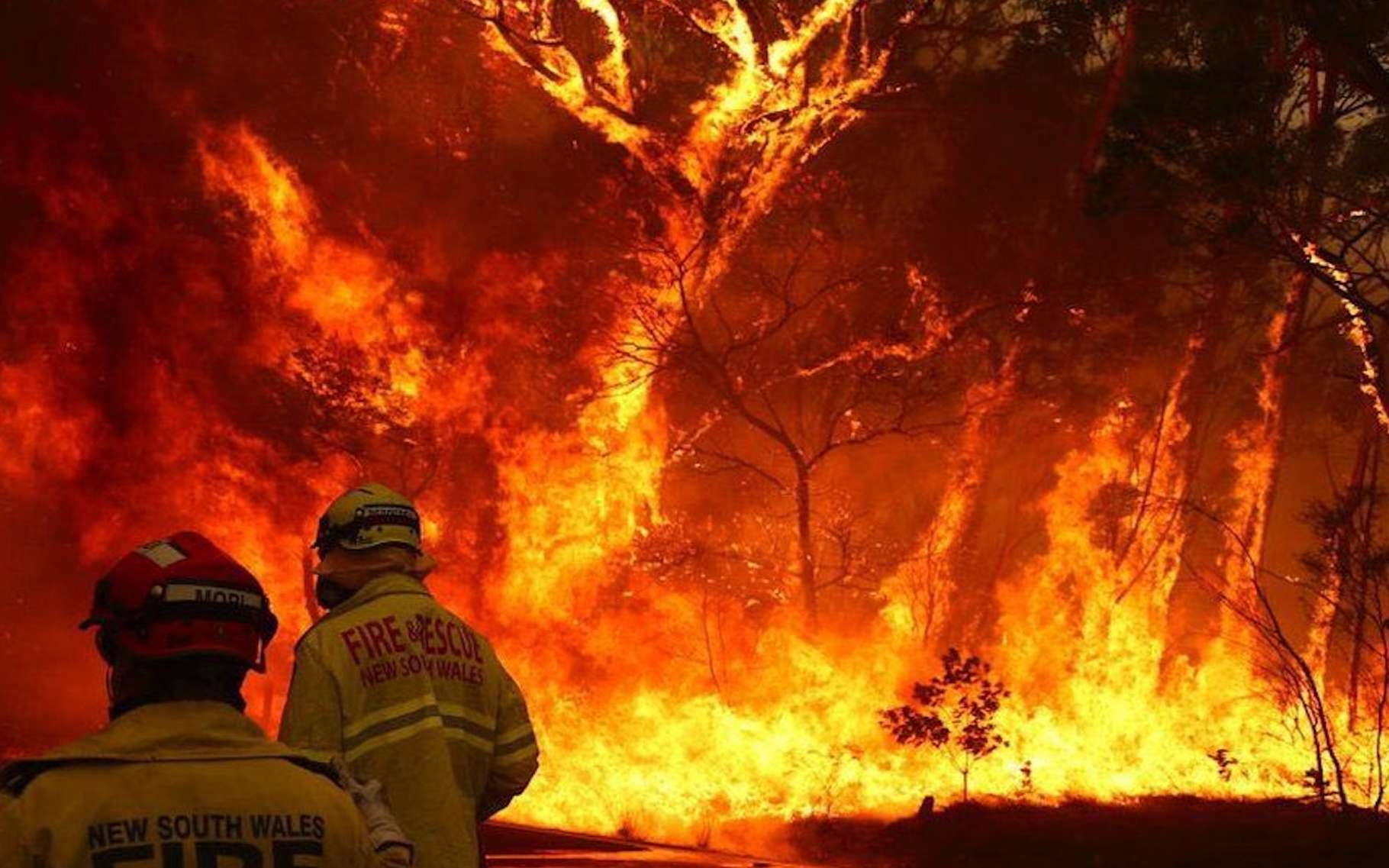 Australie : après avoir tout perdu dans les incendies, il gagne... la loterie !