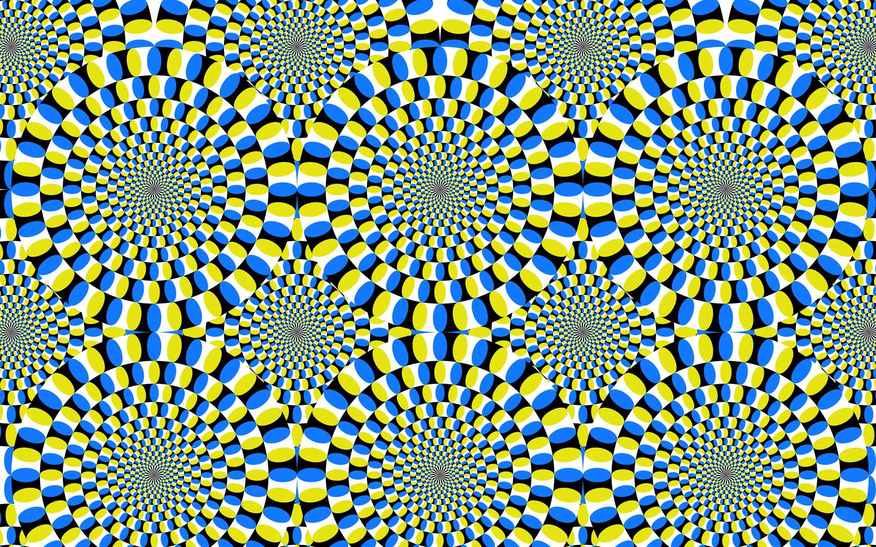 Cette nouvelle illusion d'optique va vous rendre fous