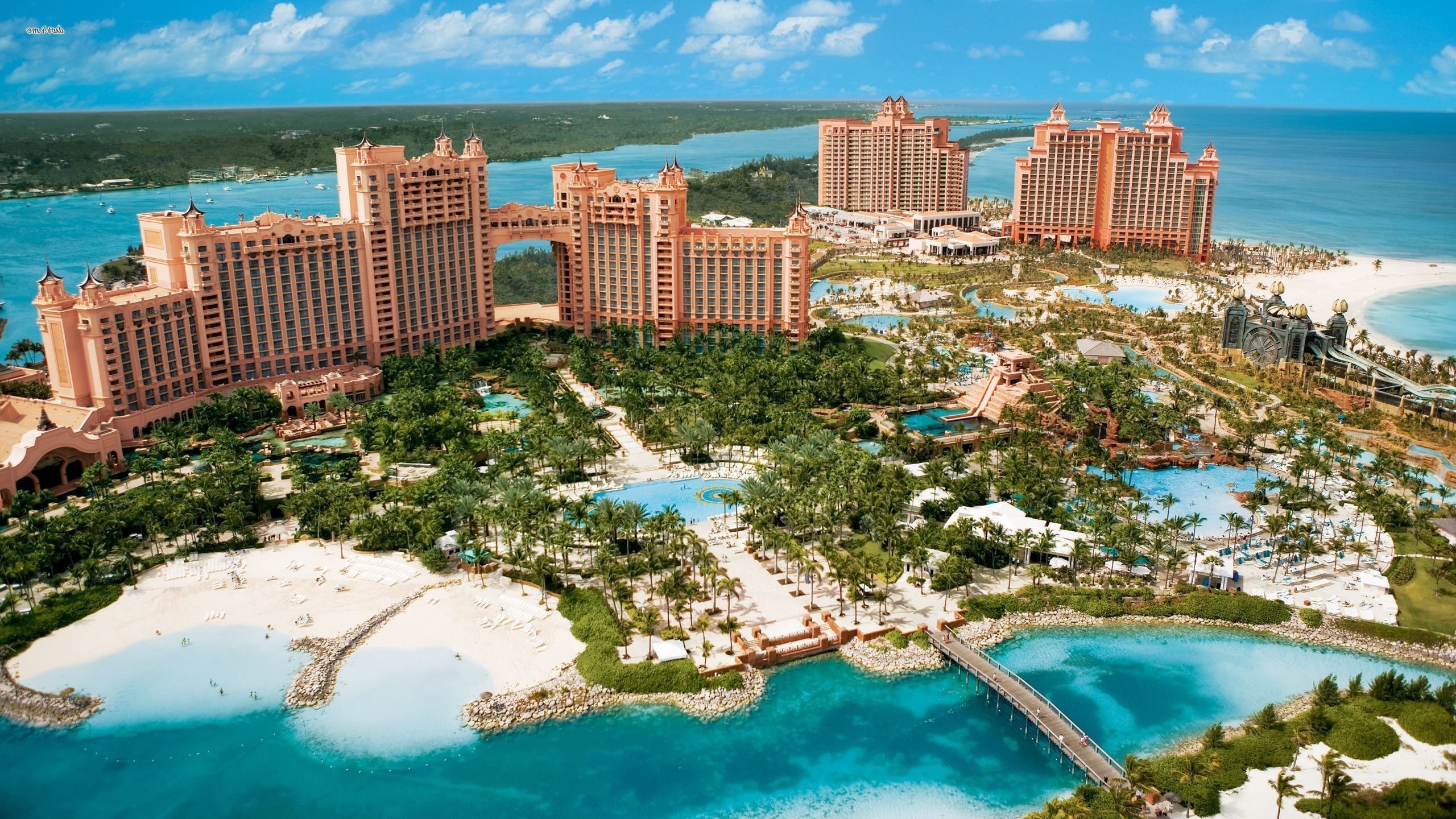 Et si vous alliez vivre gratuitement aux Bahamas pendant deux mois ?