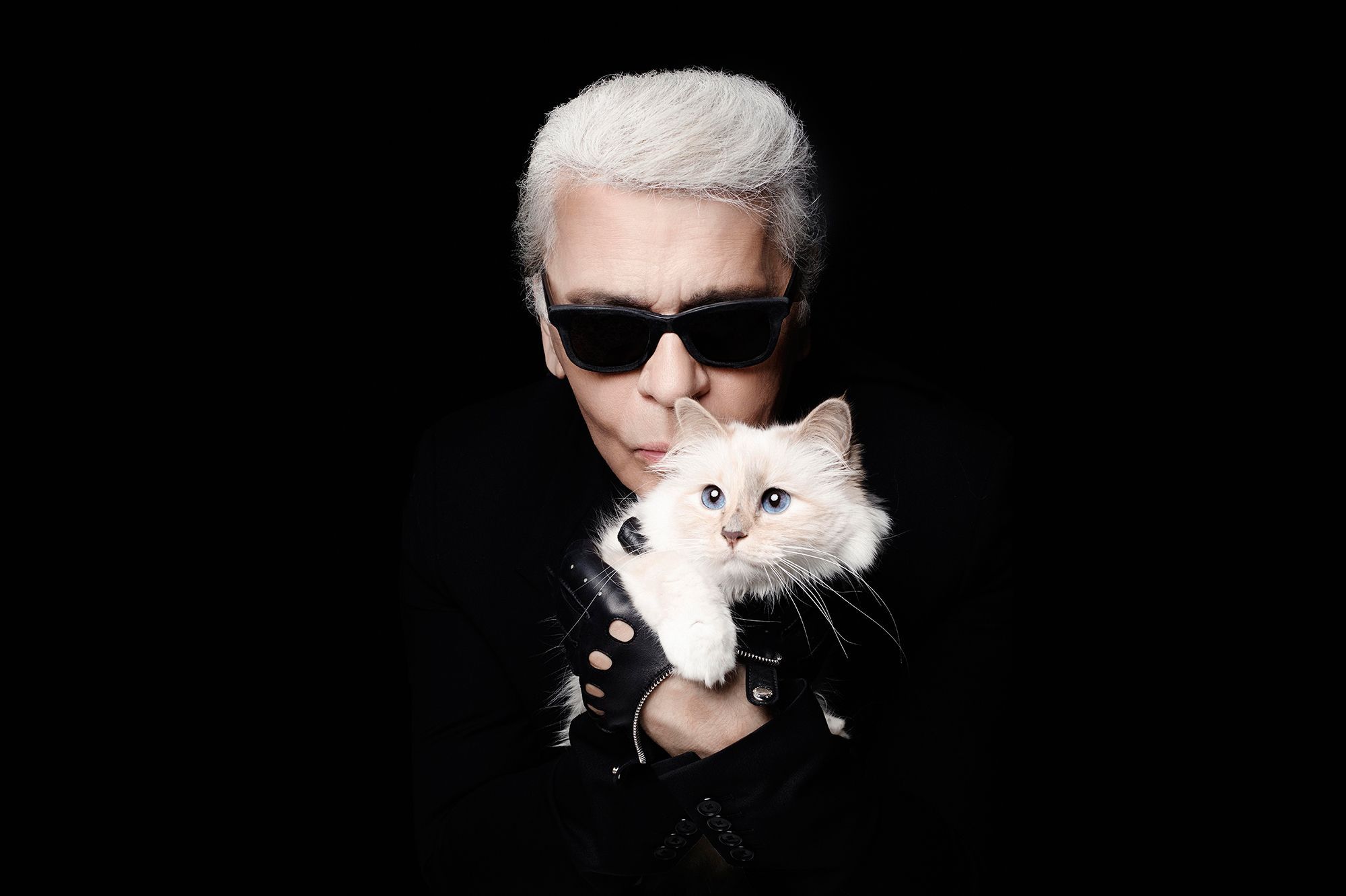 Que devient Choupette, la célèbre chatte de Karl Lagerfeld ?