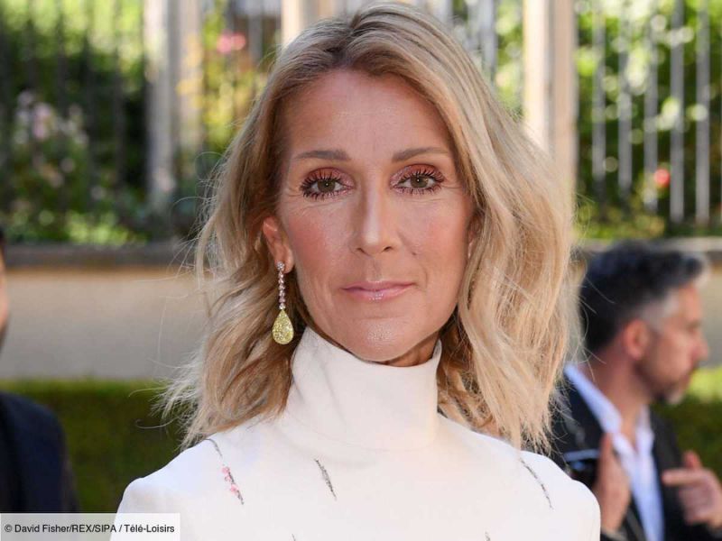 Céline Dion : sublime en lingerie, elle ravit ses fans