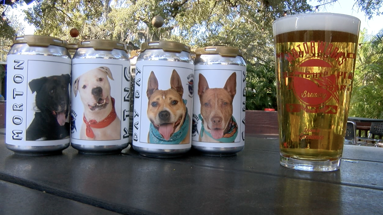 Etats-Unis : Trois ans plus tard, elle retrouve son chien grâce à une canette de bière !