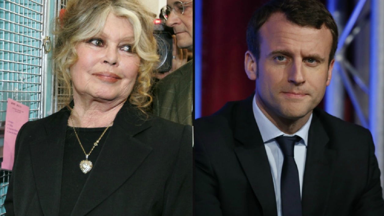 Cause animale : Brigitte Bardot tacle à nouveau Emmanuel Macron
