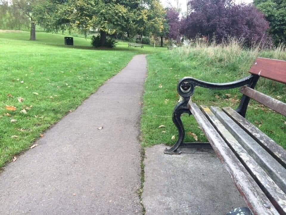 Défi : Retrouvez le chien qui se cache dans le parc