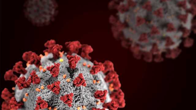 Un pâtissier crée le « choconavirus », un gâteau en forme de coronavirus