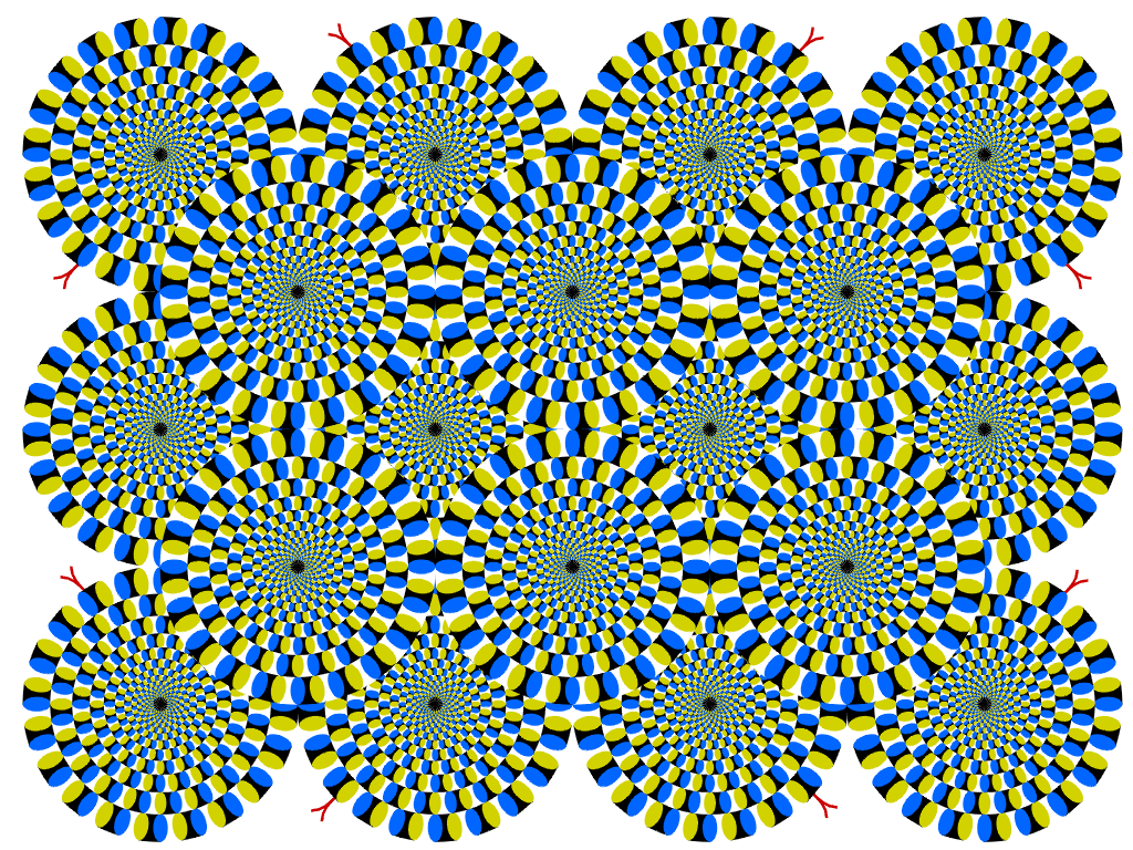 Illusion d'optique :  Ce chat est complètement hypnotisé par le dessin