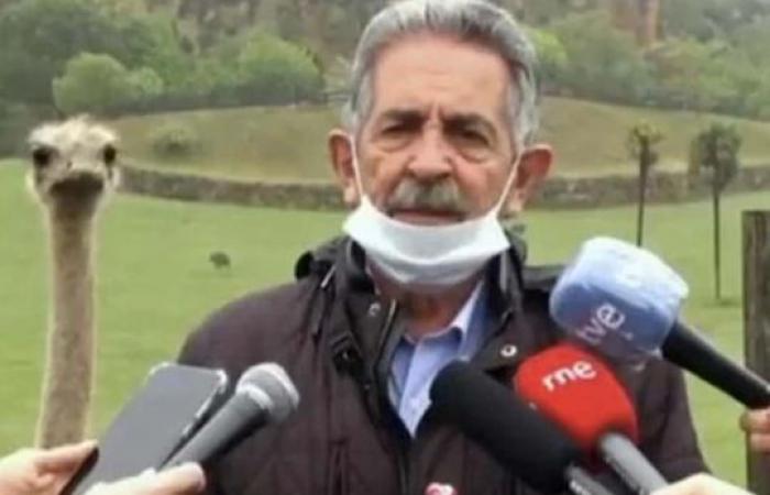 Une autruche vole la vedette à un homme politique espagnol