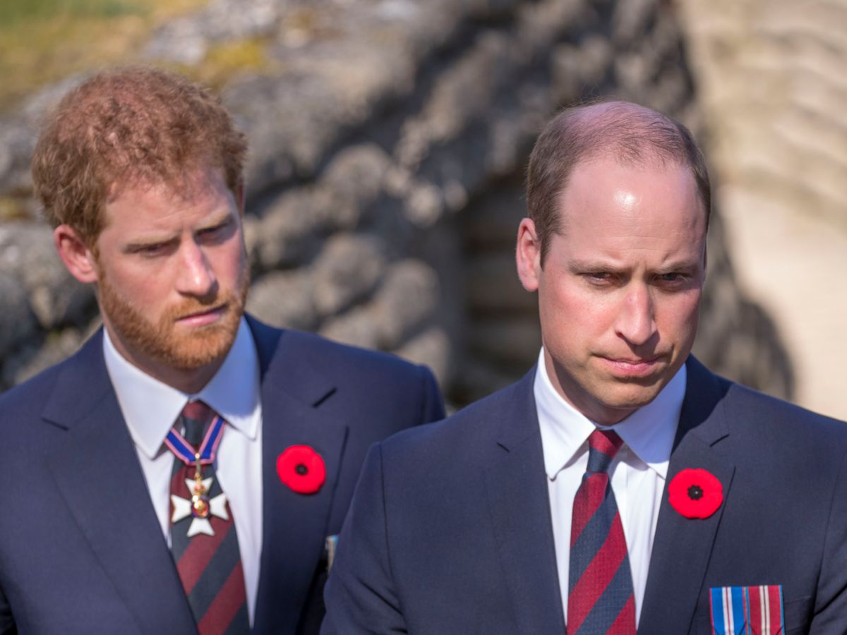 Le prince William : son initiative qui a rendu furieux son frère le prince Harry