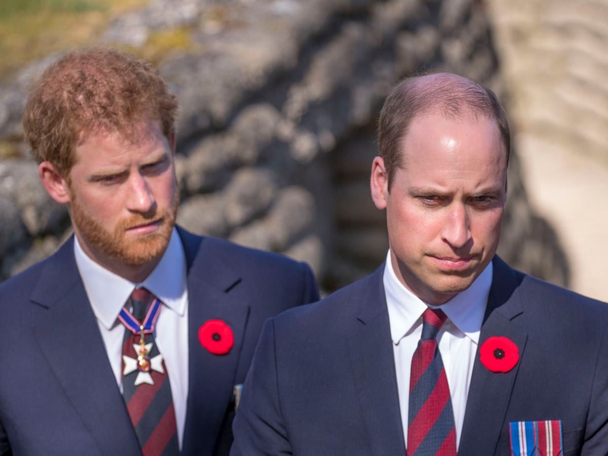  Le prince Harry et le prince William