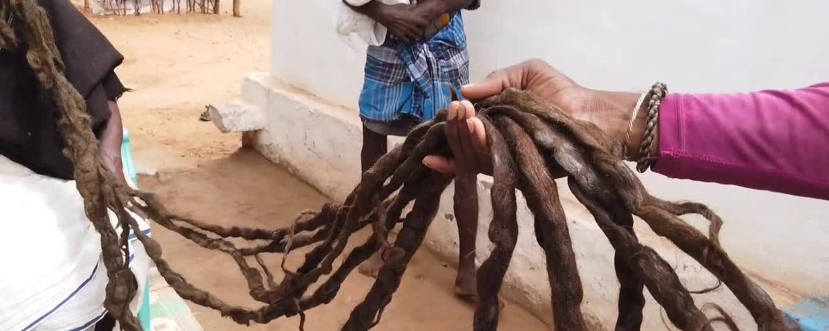  Savjibhai Rathwa, l'homme aux plus longs cheveux au monde !