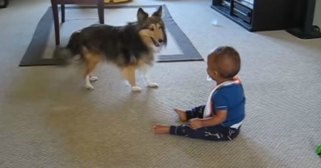 Cute : Bébé a un fou rire en voyant son chien qui danse