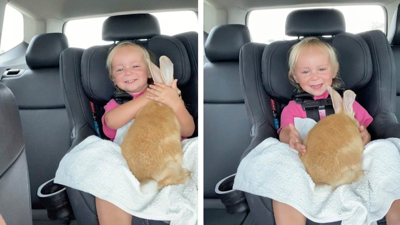 Cute : Cette petite fille est trop contente de recevoir son nouveau lapin