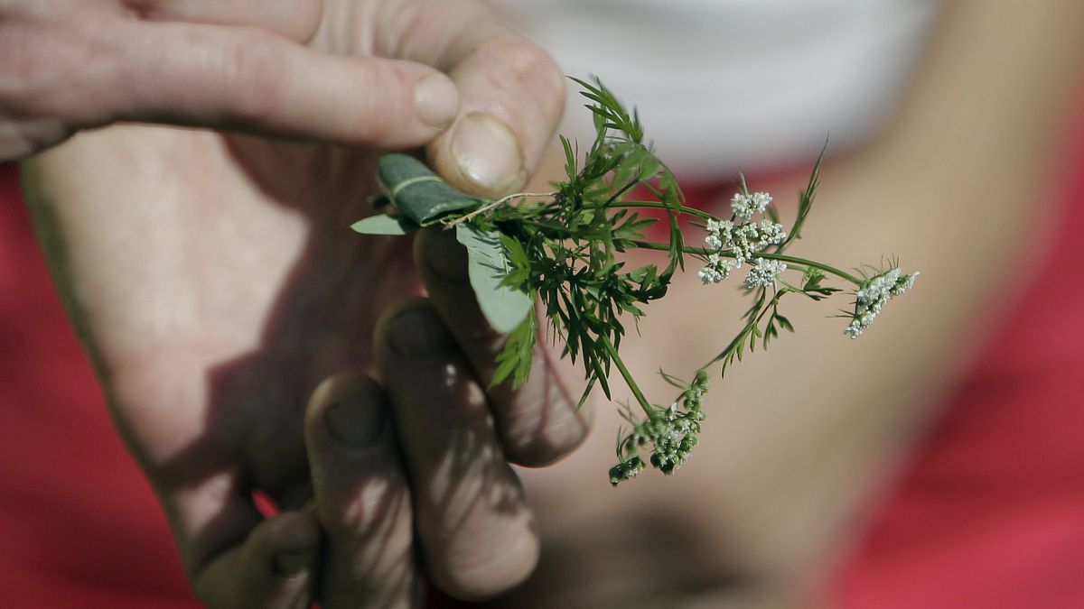 Un jeune homme meurt lors d’un stage de survie en Bretagne