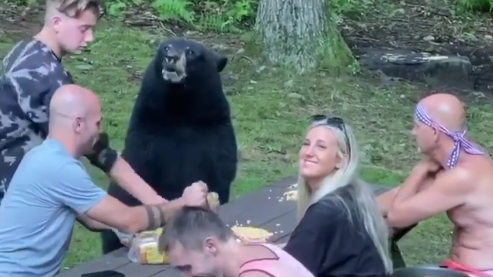 Un ours s'invite à la table d'une famille lors d'un pique-nique