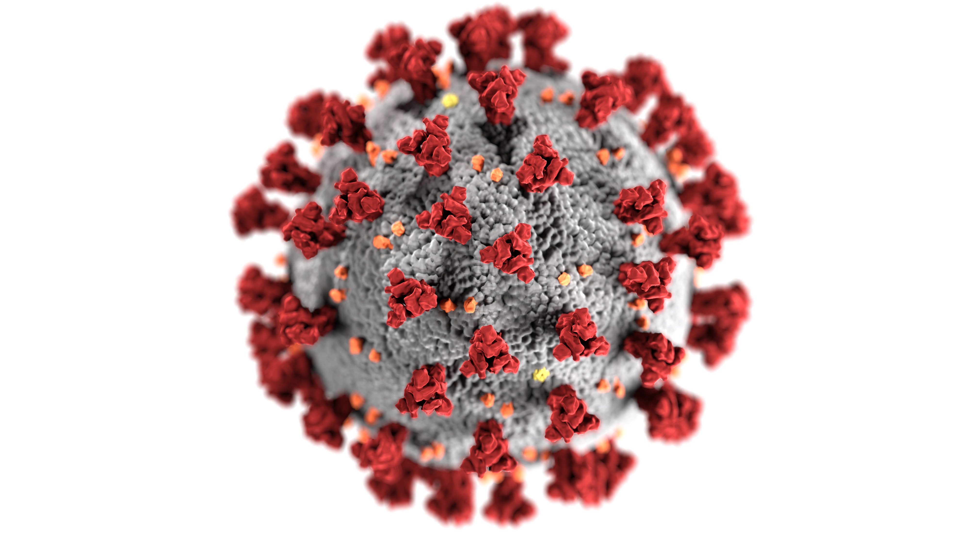 Covid-19 : découvrez la célébrité qui a donné plus d'un million d'euros pour un vaccin