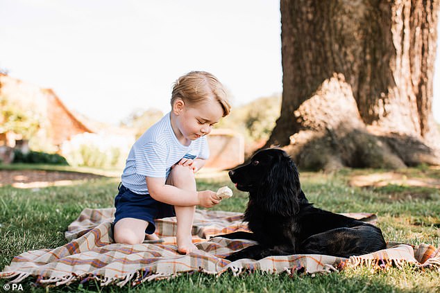 Kate Middleton et le prince William : Découvrez le cadeau du frère de Kate qui a consolé toute la famille