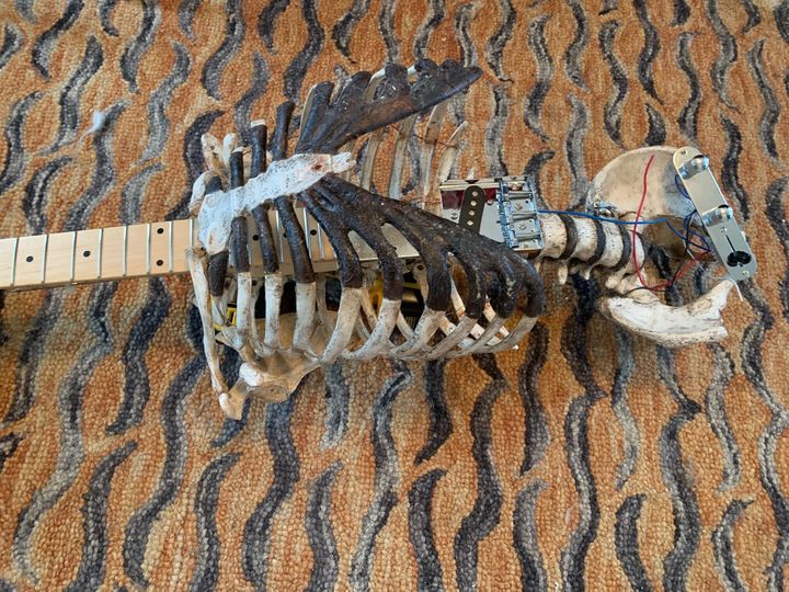  La guitare faite à partir du squelette @Prince Midnight