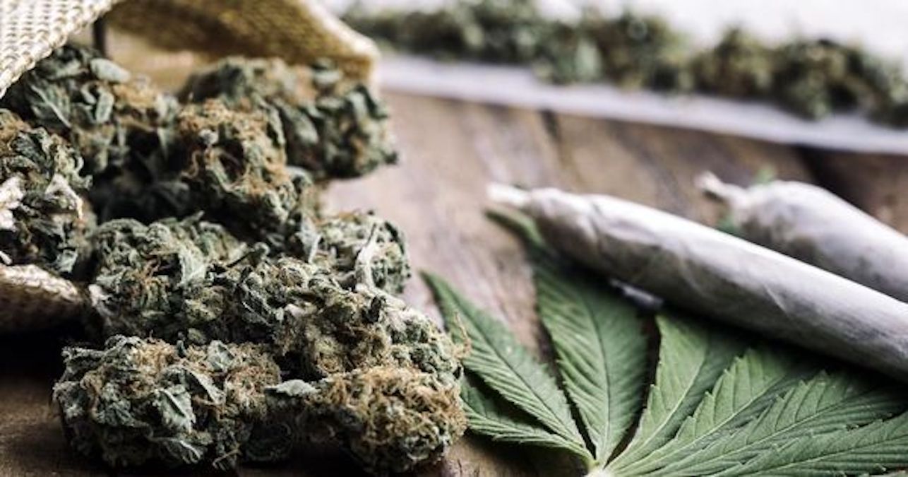 Doubs : Un enfant de 12 ans dénonce sa mère qui cultivait du cannabis