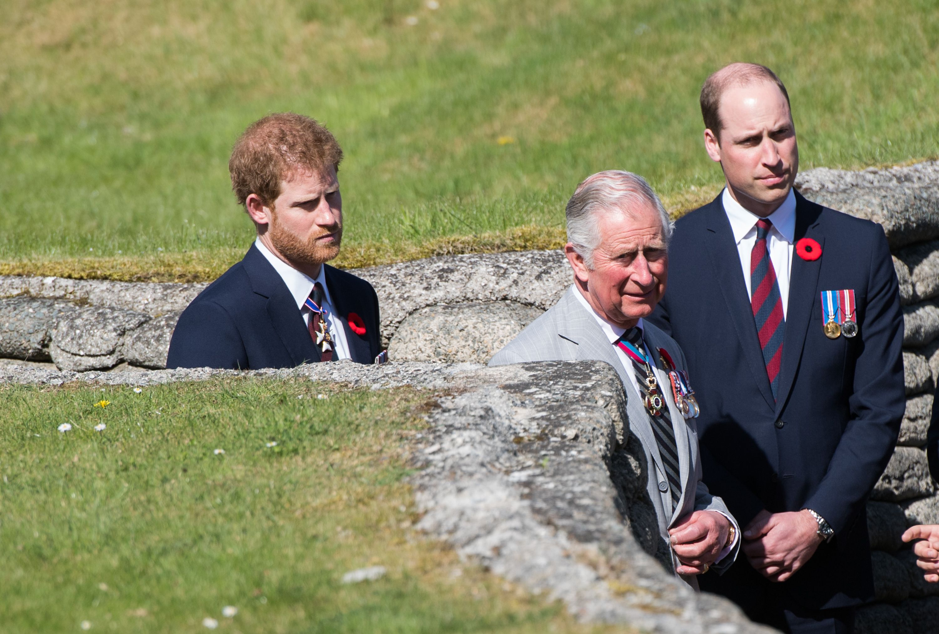  Les princes Harry, Charles et William @ DR