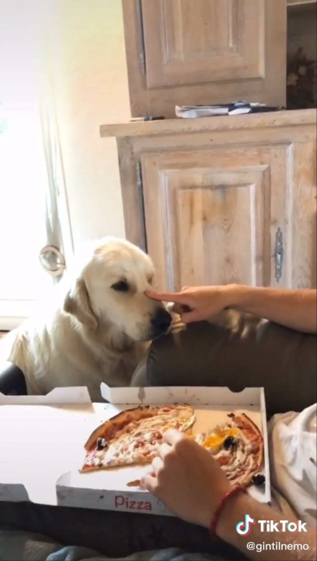  Nemo veut une part de Pizza @TikTok