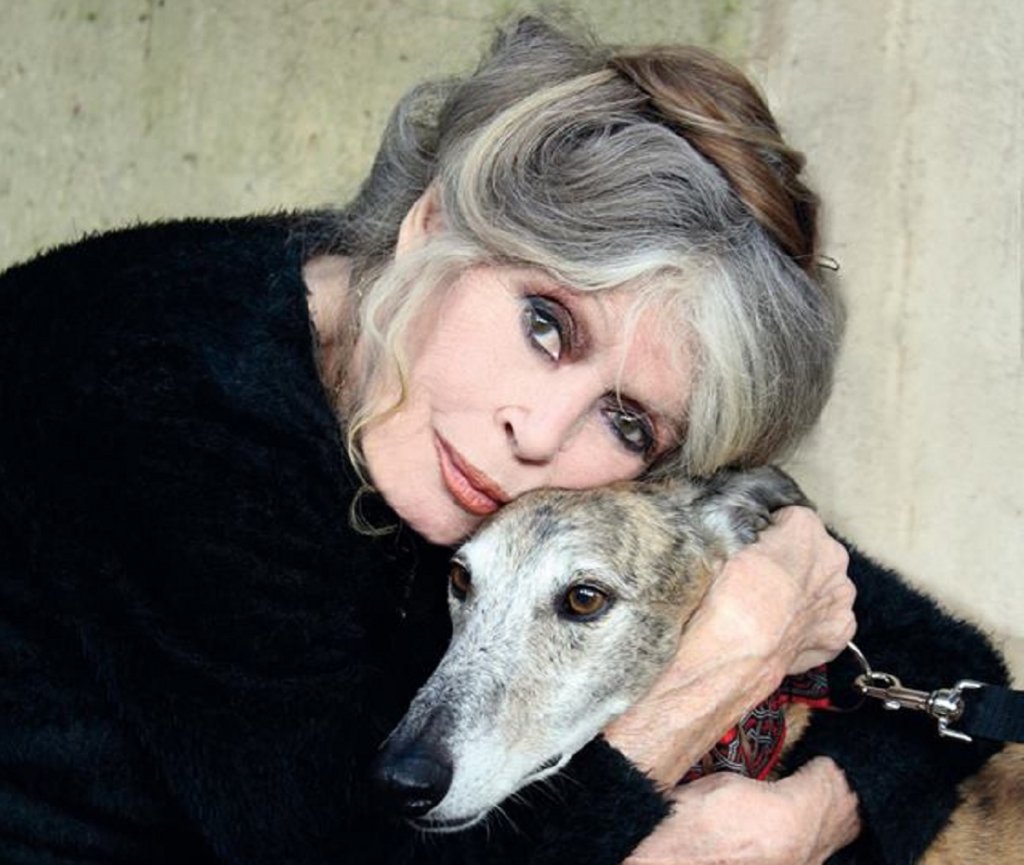 Brigitte Bardot condamnée pour injure envers les chasseurs, elle refuse de &quot;donner un sou&quot;