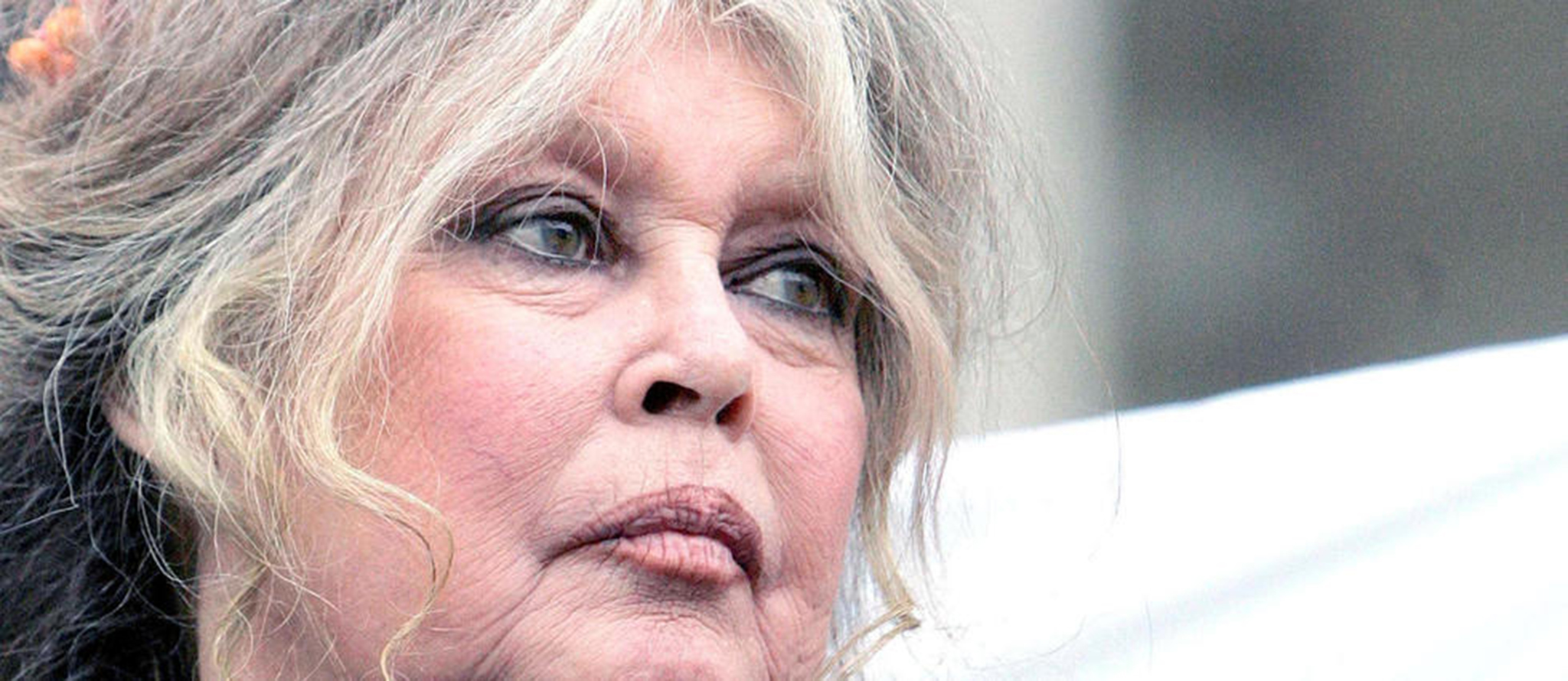  Brigitte Bardot @AFP