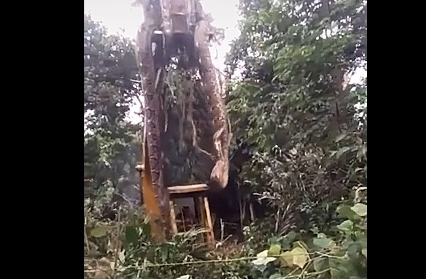 Ce serpent est tellement énorme... qu'il doit être déplacé avec une grue !