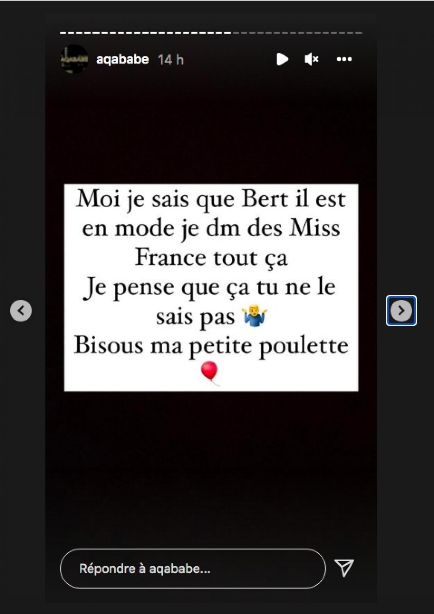 Oubliée Hilona Gos ! Julien Bert bientôt en couple... avec une Miss France ?