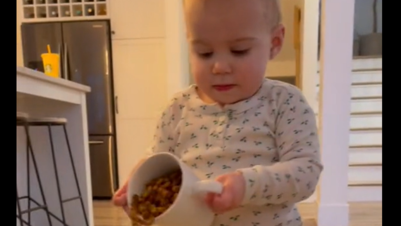 Ce bébé essaie de verser des croquettes dans la gamelle de son chien...