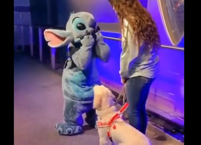 Ce chien rencontre son personnage Disney préféré !
