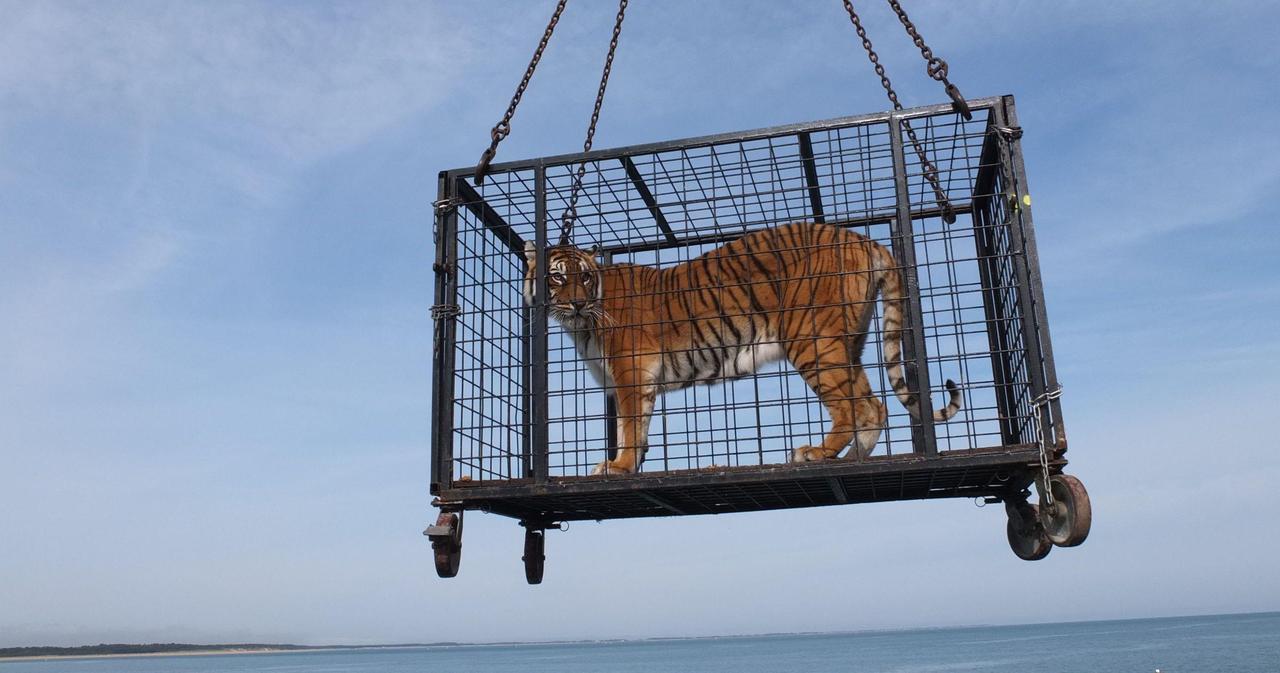 Fort Boyard : La production prend une décision historique. Du jamais vu dans l'émission !