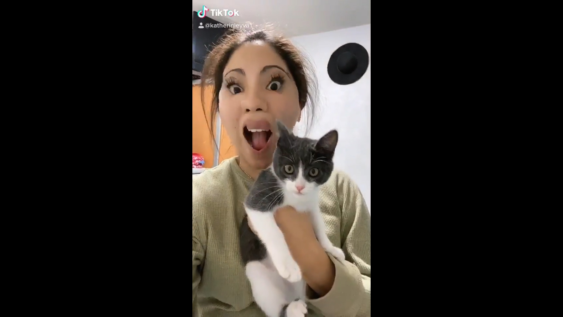 Cette jeune fille s'amuse avec un filtre et son chat prend peur