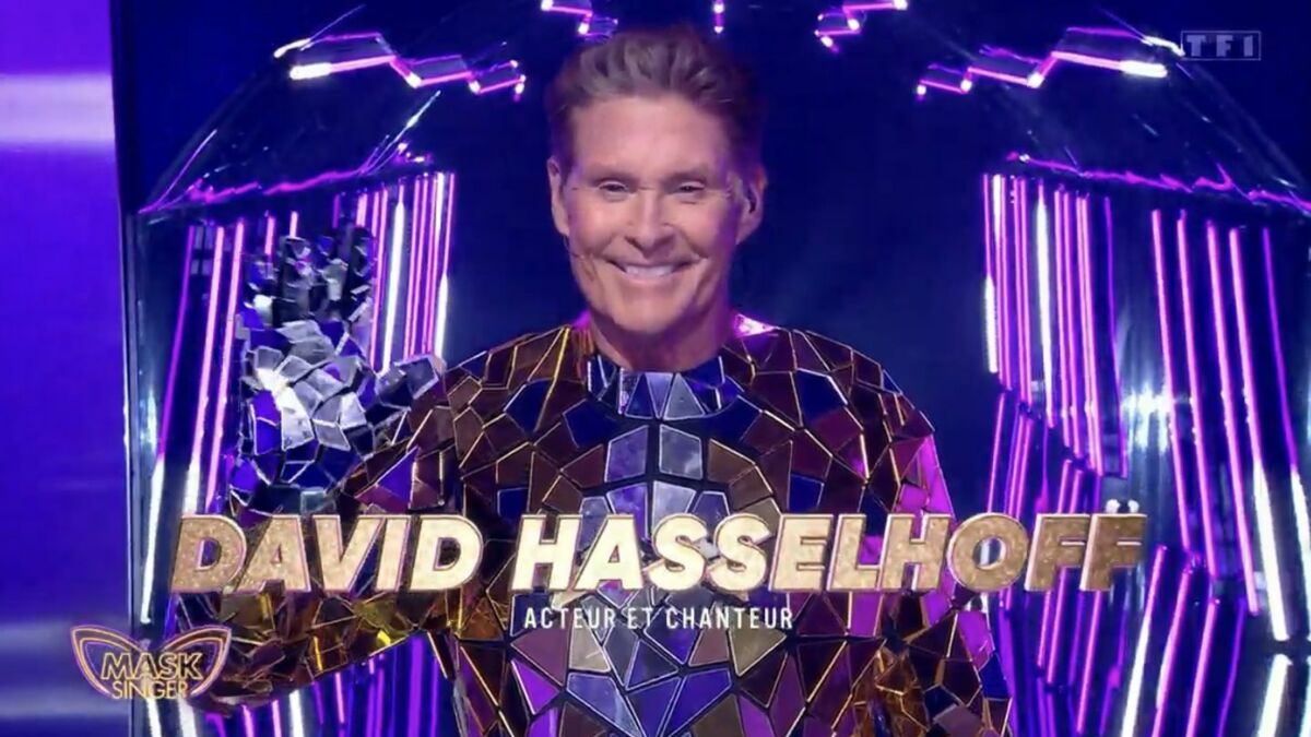 David Hasselhoff dans "Mask Singer " : une somme folle pour participer au programme ?