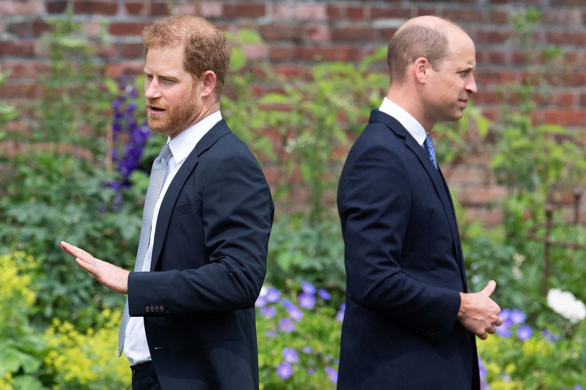  Le prince Harry et le prince William @AFP