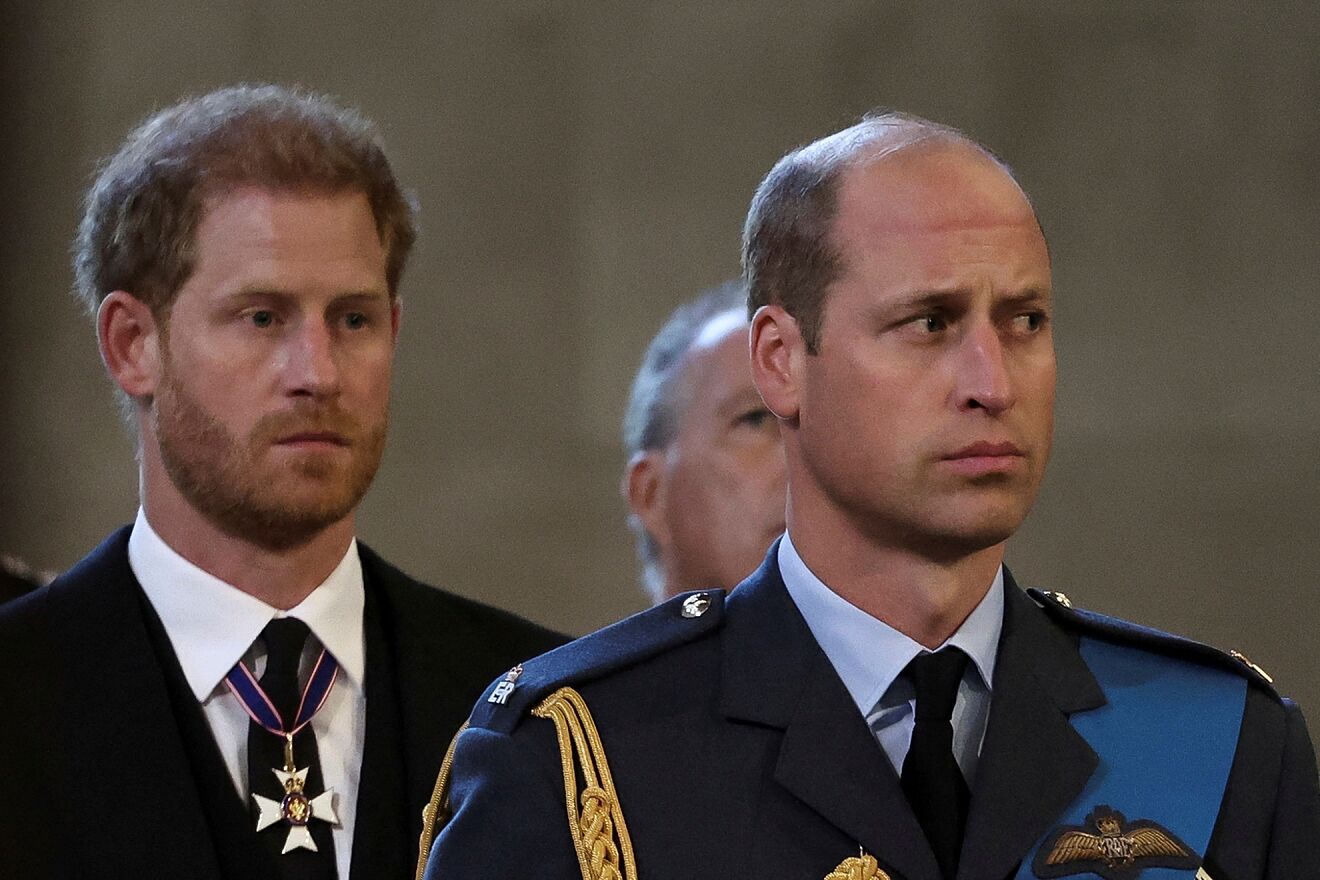 Le prince Harry et le prince William @DR