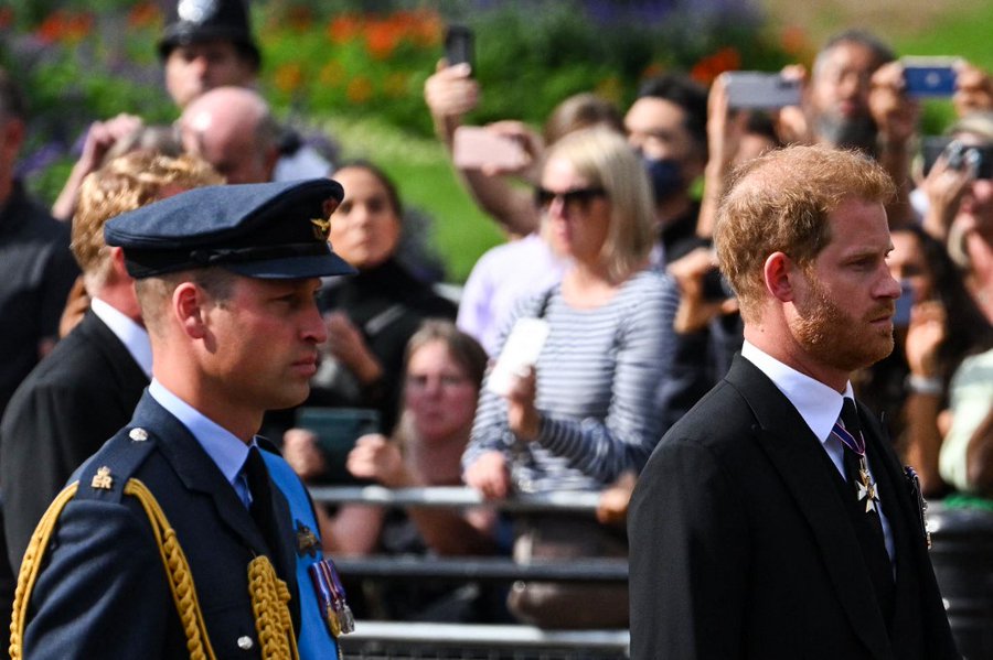  Prince Harry et prince William @DR