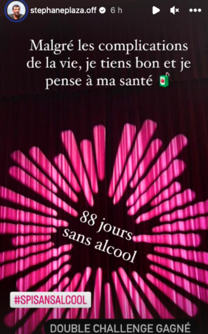 "Je pense à ma santé" : Stéphane Plaza évoque sa bataille contre l'alcool