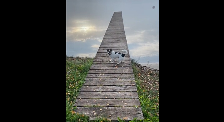 Une passerelle vers le ciel ? Cette illusion d'optique va vous donner le vertige !